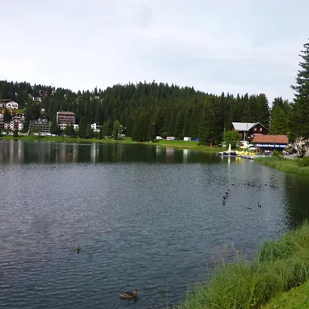 Bergblick Appartamento
